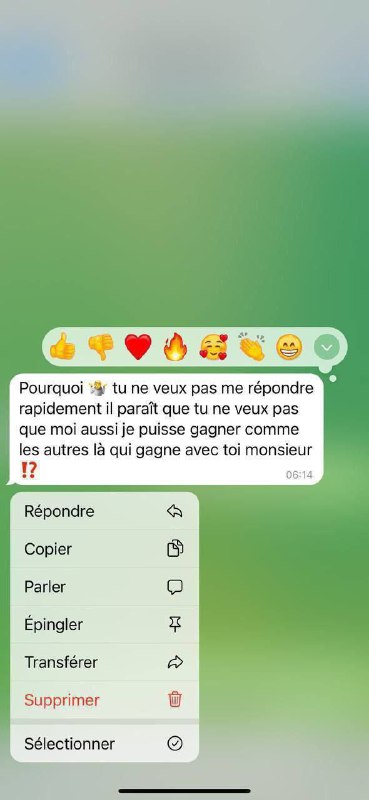 Laissez vos messages, je vous répondrais …