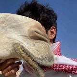 [أمشي وقلبي سواة القدس محتليّ