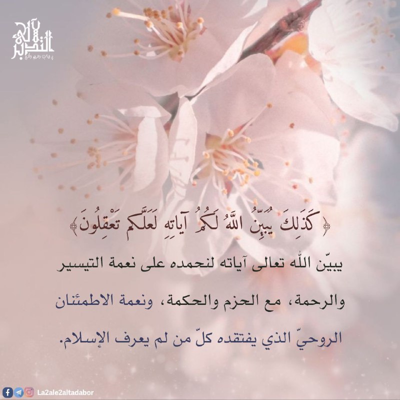 لآلئ التدبر