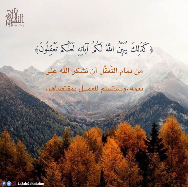 لآلئ التدبر