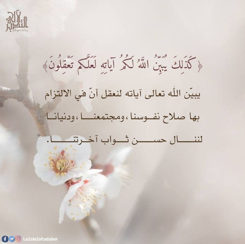 لآلئ التدبر