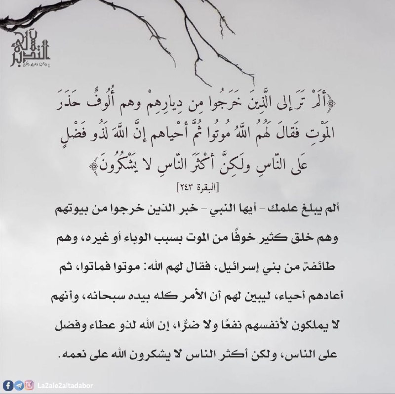 لآلئ التدبر