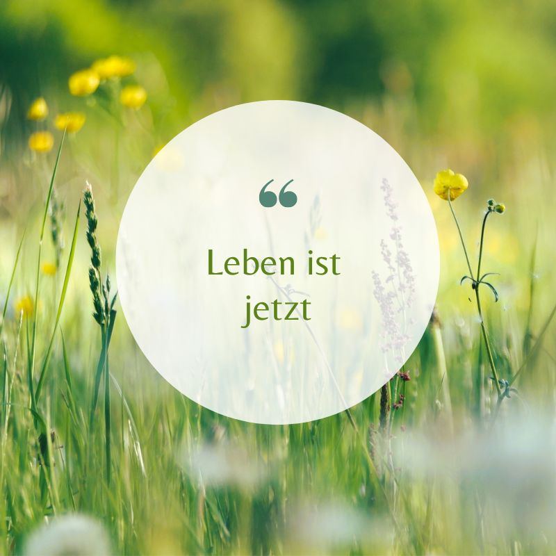 "Leben ist jetzt. Es gab weder …