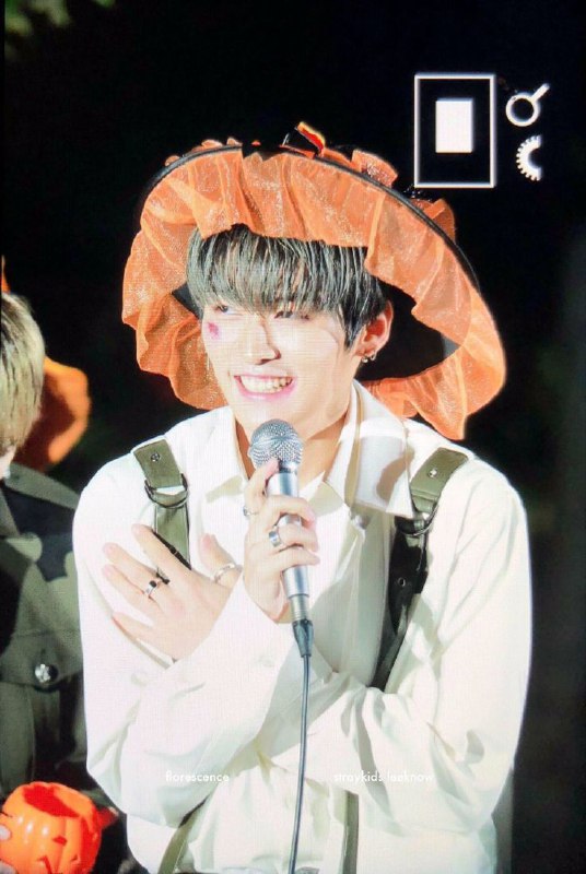 4 cats for Jisung