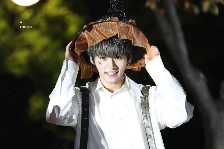 4 cats for Jisung