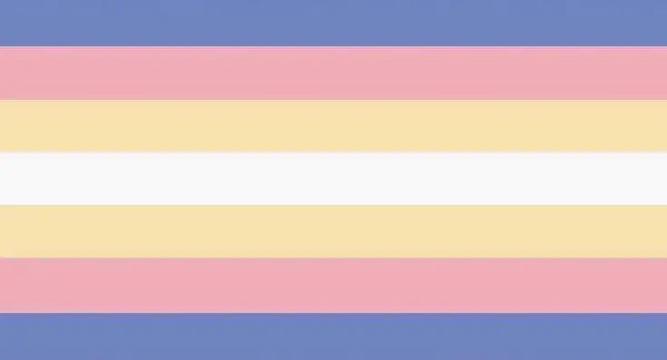 ✦ she/they bi flag