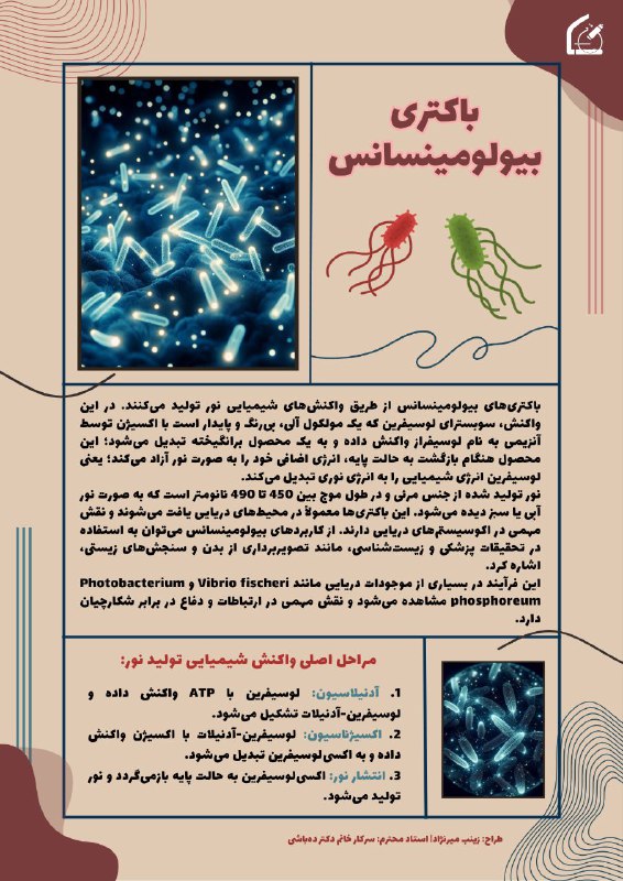 ***?***باکتری بیولومینسانس***?***