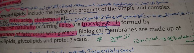 القناة العلمية للدفعة الثامنة مختبرات طبية. …