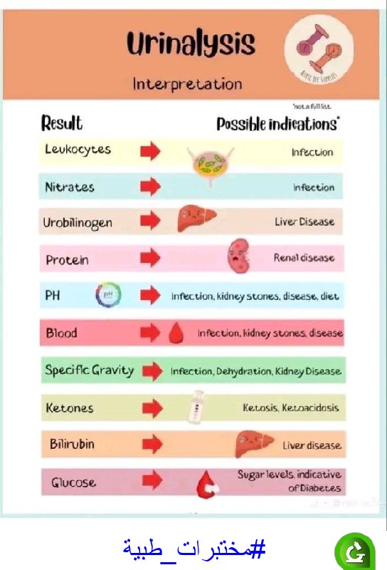 ***✅***Urine analysis interpretation