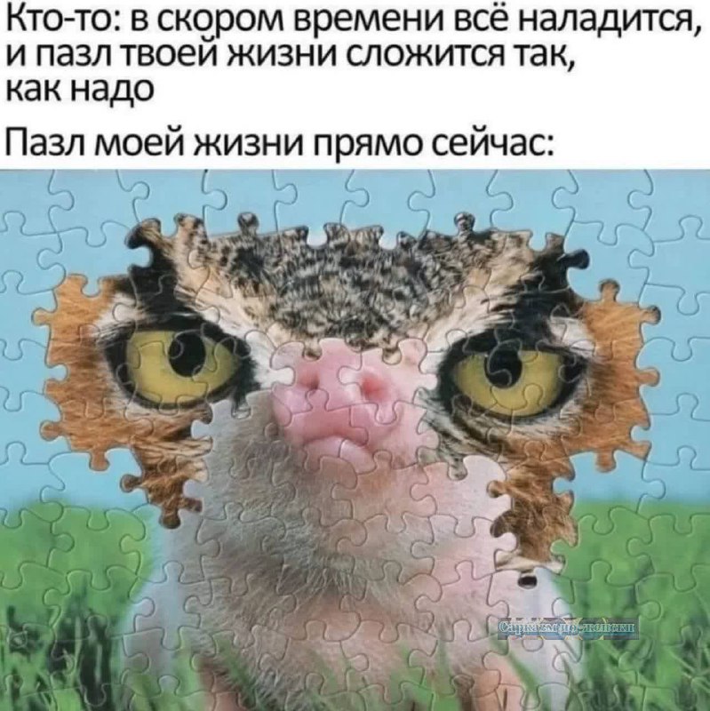 [***?‍⬛***Дамские шалости I Юмор](https://t.me/Ladies_pranks)