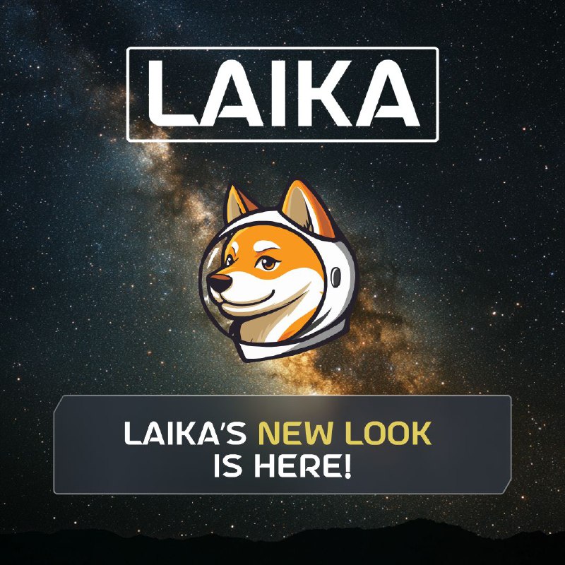 **LAIKA’s Got a Fresh Look!** ***🔥***