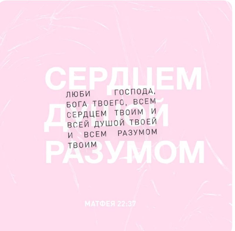 ***❤️*** *Сегодня давайте отдадим наши сердца, …