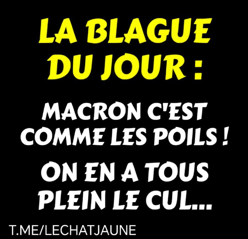 La blague du jour ***😸***