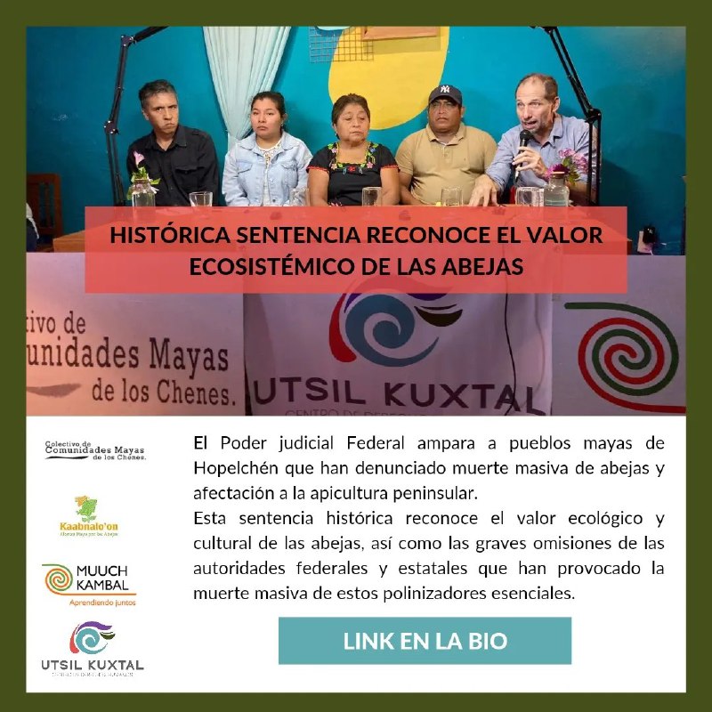 **Pueblos mayas logran sentencia histórica para …