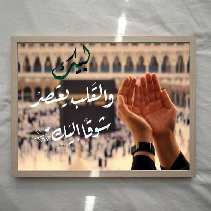 لمسة فن ✨🤍