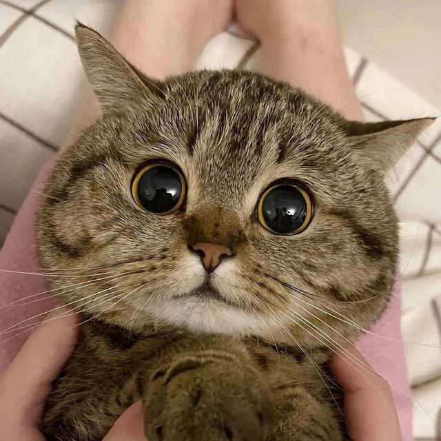 ***?*** Welcome to Hell ***?***