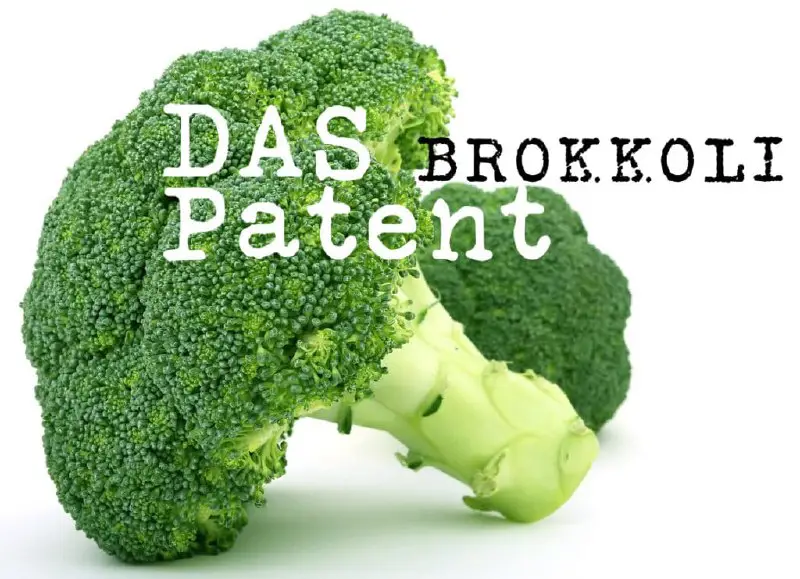 **Das Brokkoli-Patent** · *von Dr. Johanna Weber // In den letzten Jahren kam es vermehrt zu Preissteigerungen bei Lebensmitteln [1], …