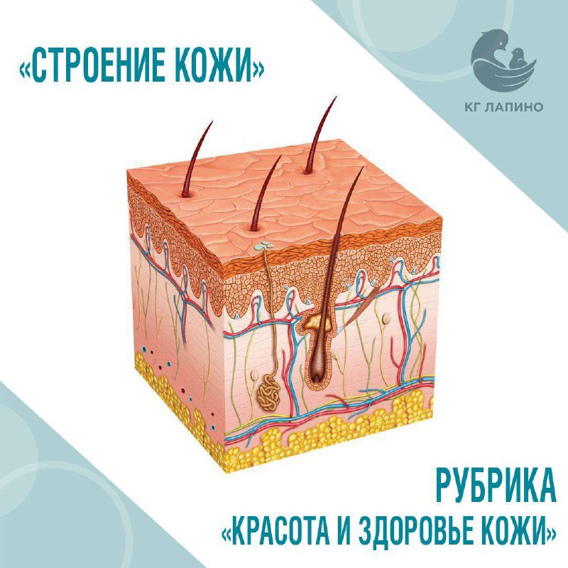 ***🆕*** Мы запускаем новую рубрику «Красота …