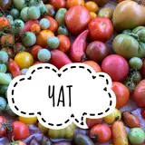 Lara_gan16 коллекционные семена томатов,перца