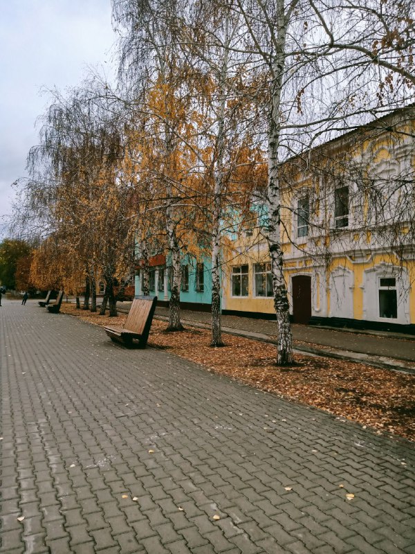 Литературная критикесса - Лара Князь 📚