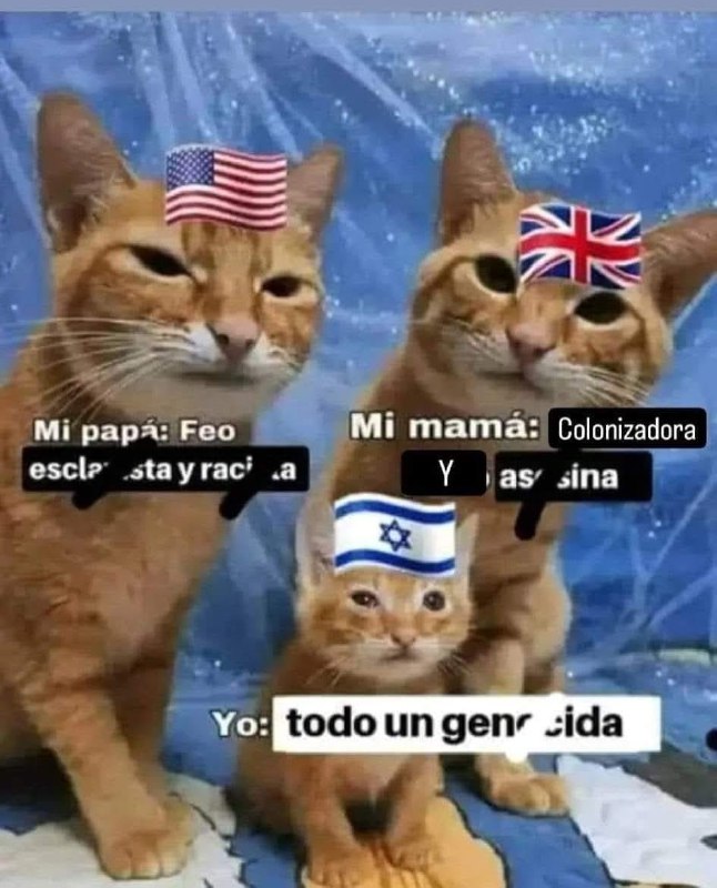 La taberna de los memes expropiados