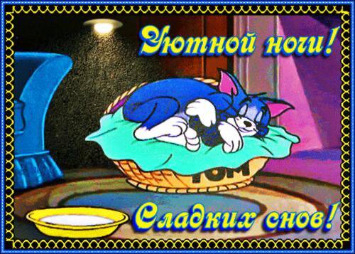 лэйт найт токин 🫐