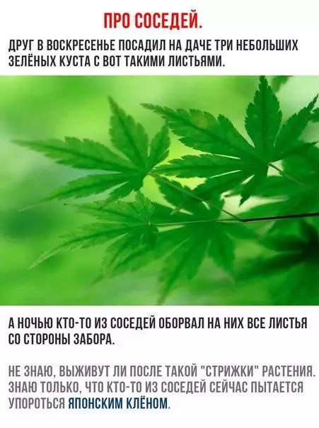 ***?***[ЮморЪЁжка | Приколы](https://t.me/+rT_sI0KP7i00YWZi)***?***