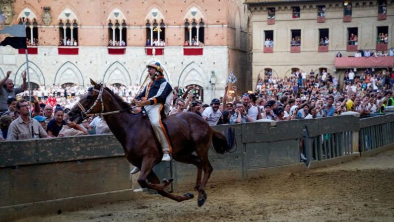 La Voce del Palio