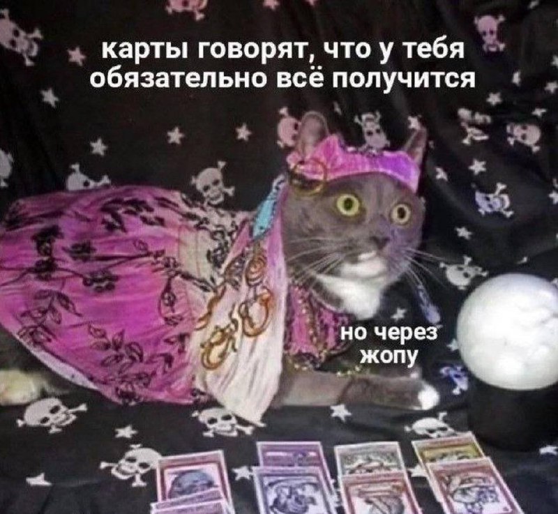 **Так-с-с, таролога заказывали? мур-мяу** ***😼***