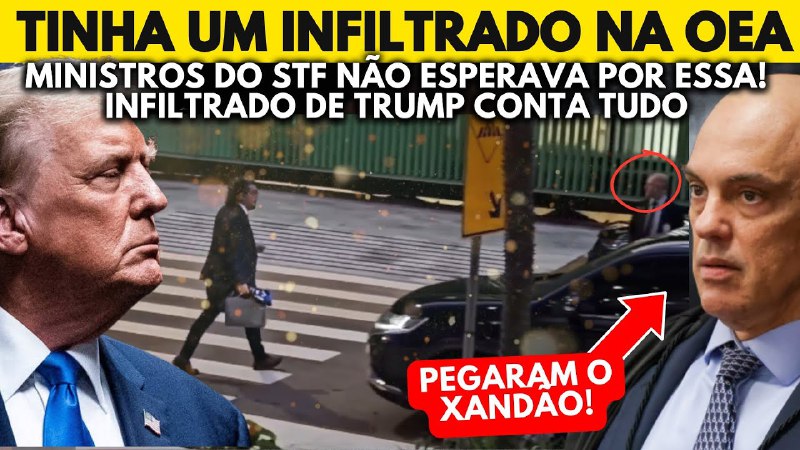LC CRÍTICO 🐇