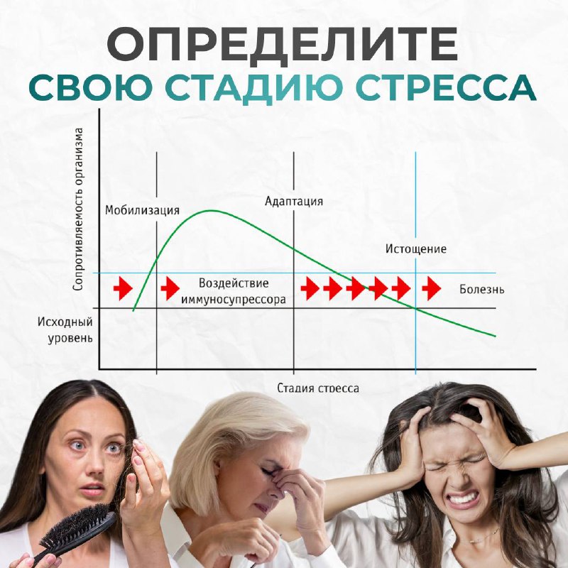 Определите свою стадию стресса***👇🏻***