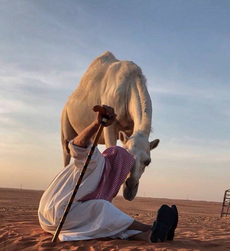 Ebtehaj