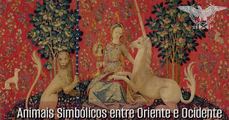 "Os animais têm acompanhado a existência …