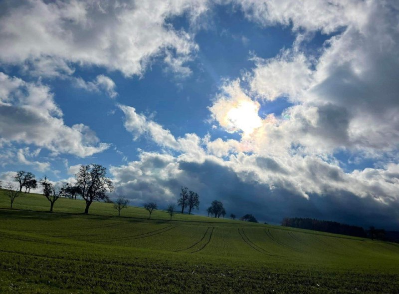 DIE STILLE RUFT LAUT