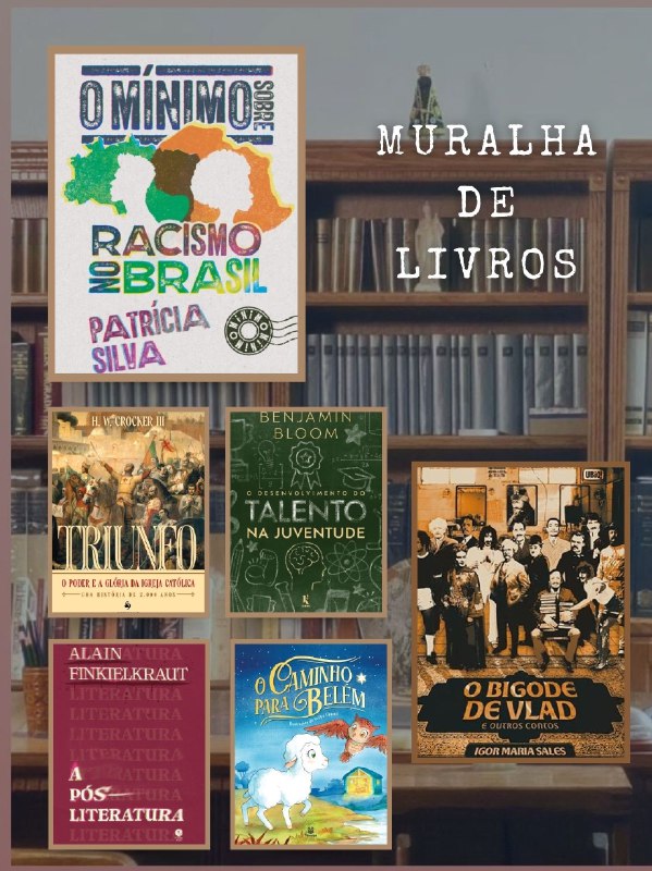 MURALHA DE LIVROS | Sobre racismo, …