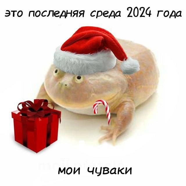 С настуКВАющим 2025 годом, чуваки!