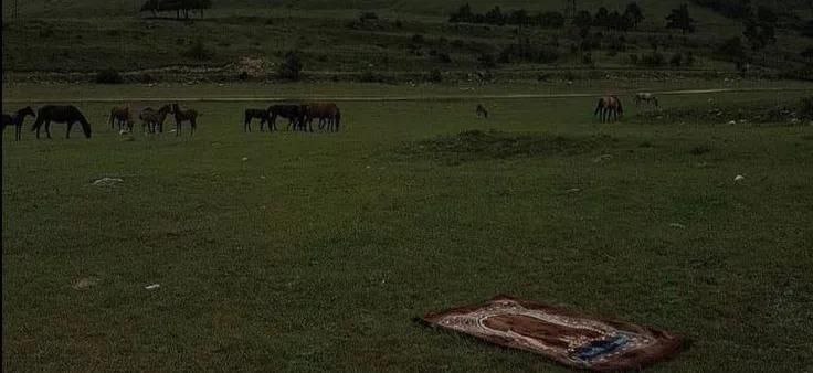 ‏“مسافرٌ أنتَ والآثارُ باقيةٌ