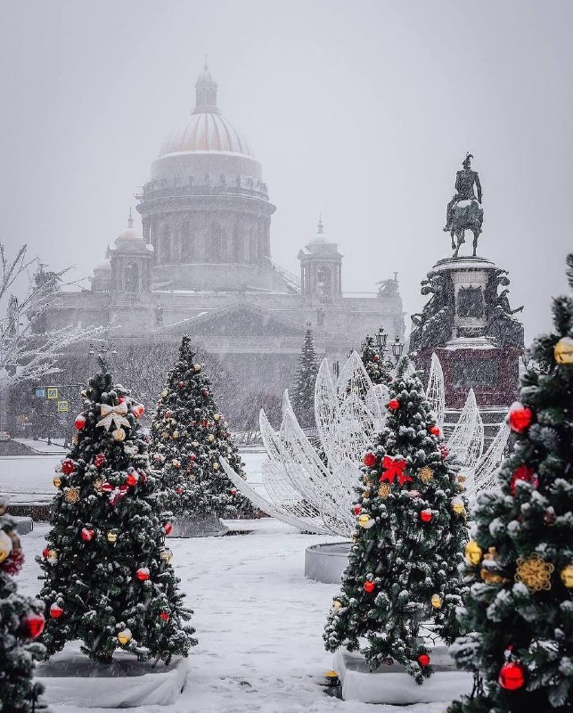 ***🎄*** Зимний сад откроется в Питере …