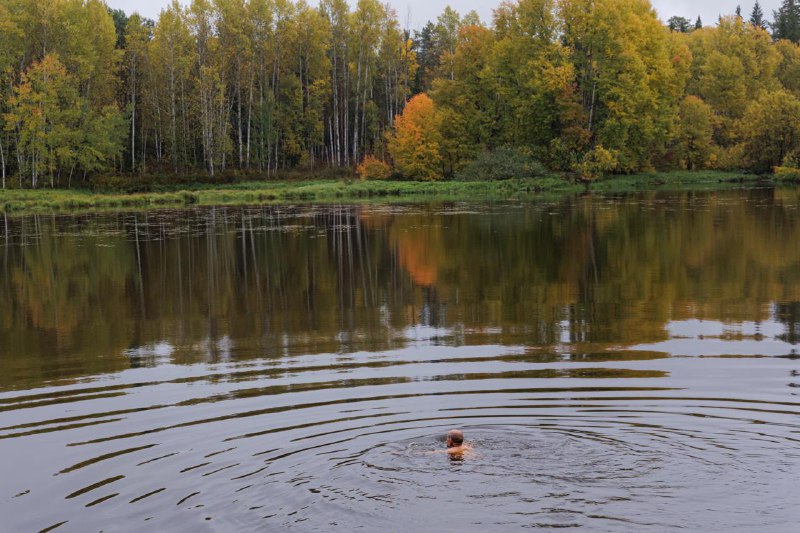 Будни фотокорра