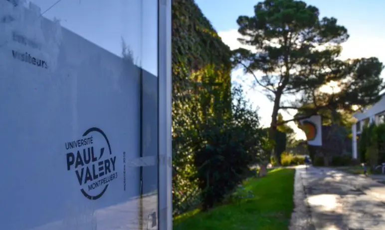 L'université Paul-Valéry à Montpellier propose un Master 2 en sciences de l'éducation et de la formation qui vise à former …