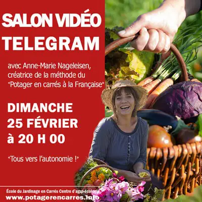 ***🔴*** **Salon-vidéo Dimanche prochain à 20h00 …