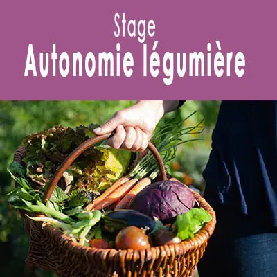 ***🥖*** **Stage "Vers l'autonomie légumière" : …