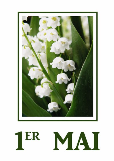 Joyeux 1er mai, chers amis***?***