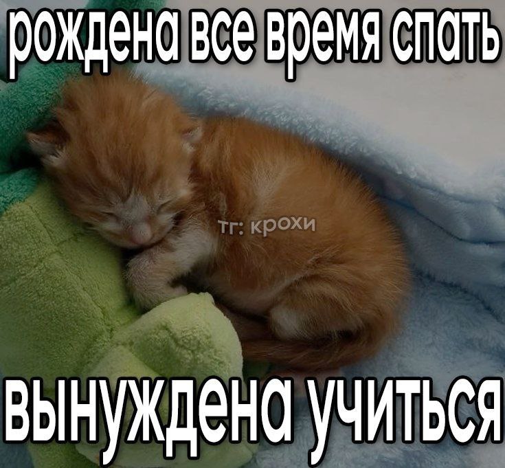 ***🥱******💤***