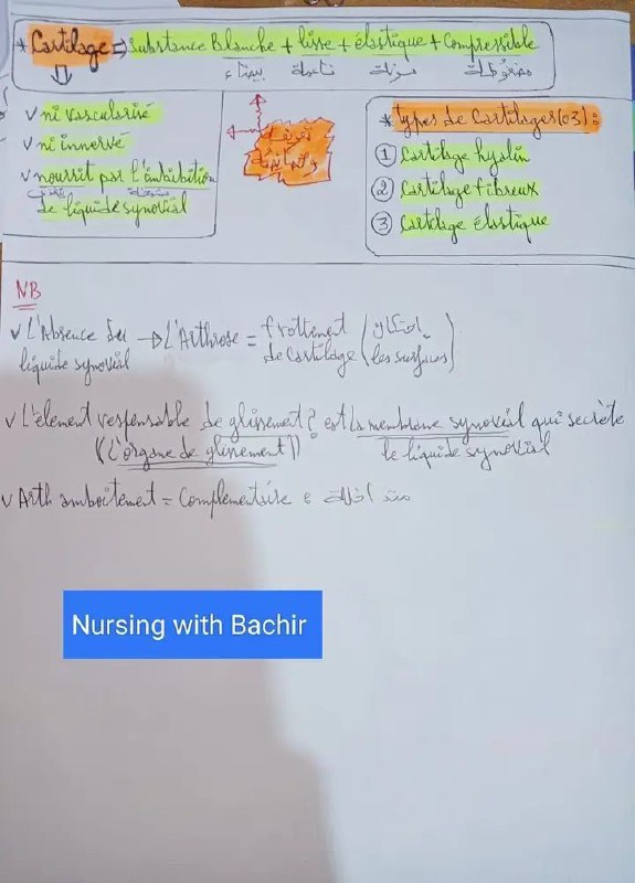 Les étudiants de Paramédical en Algérie