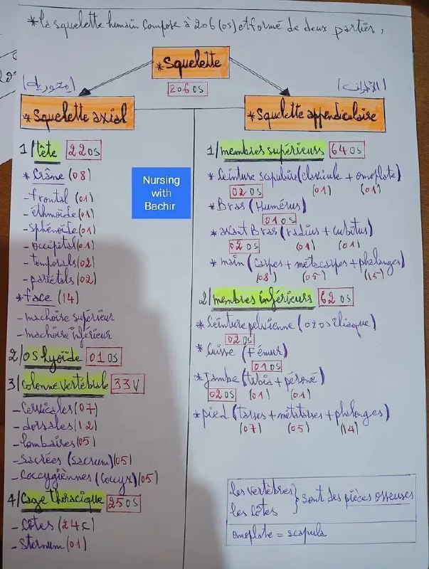 Les étudiants de Paramédical en Algérie