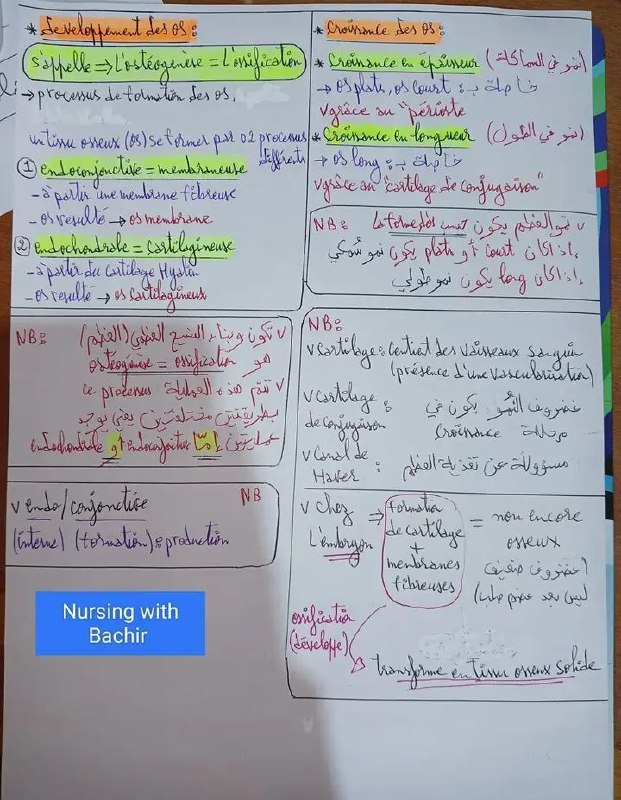 Les étudiants de Paramédical en Algérie