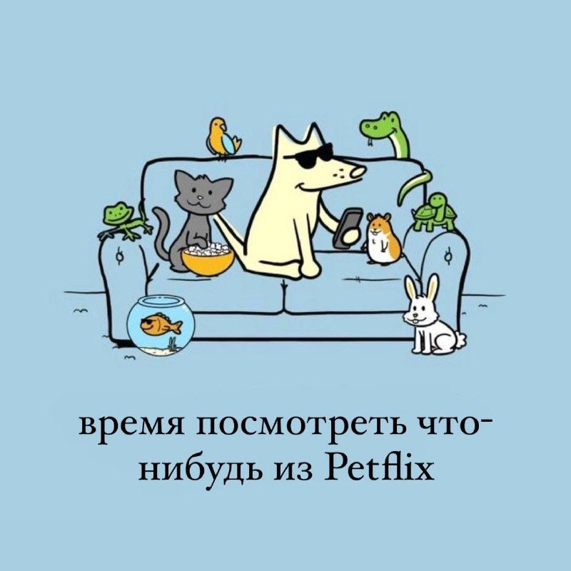 ***🐾******✨*** Выходные — это время для …