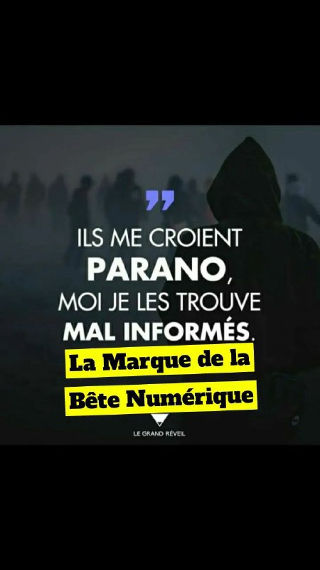 La Marque de la Bête Numérique