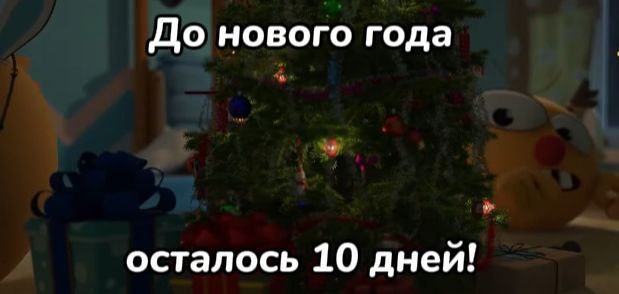 10 дней***?******?***